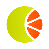 WordPress website support client logo